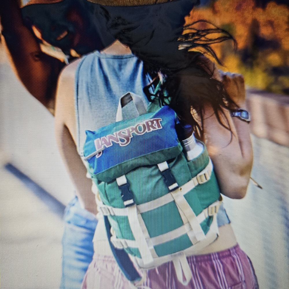 Jansport Mini Skip Pack Backpack 11x7.8x4.7 NWT - Picture 4 of 4